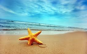Отдых на море: Отдыхаем на море)